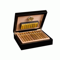 Adorini Torino - Deluxe