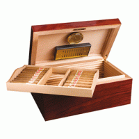 Adorini Santiago Grande - Deluxe